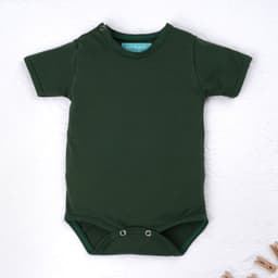 https://gdg-images.s3.sa-east-1.amazonaws.com/fotos/151603/body-manga-curta-asas-de-anjo-verde-rn-328989.jpg