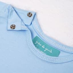 https://gdg-images.s3.sa-east-1.amazonaws.com/fotos/159152/body-manga-curta-baby-basics-azul-bebe-gg-391656.jpg