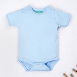 https://gdg-images.s3.sa-east-1.amazonaws.com/fotos/159152/body-manga-curta-baby-basics-azul-bebe-gg-391658.jpg