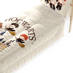 https://gdg-images.s3.sa-east-1.amazonaws.com/fotos/176213/edredom-infantil-solteiro-harry-potter-hogwarts-482205.jpg