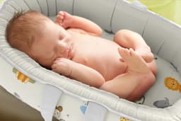 https://gdg-images.s3.sa-east-1.amazonaws.com/fotos/185164/ninho-redutor-de-berco-leao-selva-baby-80cm-452859.jpg